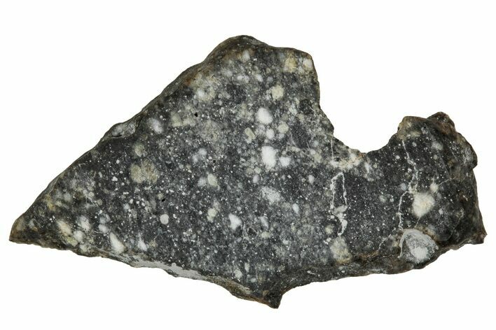Polished Lunar Meteorite ( g) Slice - Aridal #355984